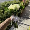 20 white roses
