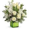 A stylish pop of winter style, this snow-white bouquet in a fresh