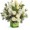 A stylish pop of winter style, this snow-white bouquet in a fresh