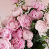 Blush Radiance &ndash; Peony Arrangement
Soft, stunning, and effortlessly elegant&mdash;this arrangement features five