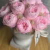 Everlasting preserved peonies in a beautiful cement vase. 