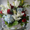 red roses red spray rose white oriental lily  blue hydrangea 