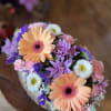 This uplifting box arrangement contains gerber daisy&rsquo;s, statice, cushion poms, asters, and