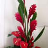 Breathtaking Ginger and Antherium Flowers, Totally Tropical is a great option for