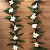 This braided ti leaf lei with white orchid blooms is a great