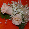 peach  color roses