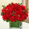 The symbol of courage and strength, an all-red bouquet conveys your emotions