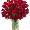 50 Roses in Red arranged in a vase