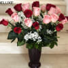 24 Roses Red and Pink Long Stem arranged in a vase
