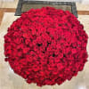 500 Premium Long Stem Red Roses arranged in vase