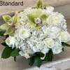 White Roses with White Hydrangeas mixed with green Cymbidium Orchid flowers. Arranged