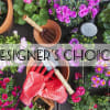 Let our florists surprise you with a designer&#039;s choice flower arrangement.