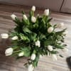 20 gorgeous farm white tulips arrives in a beautiful glass container to
