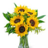Nothing lights up a room like the golden glow of sunny sunflowers