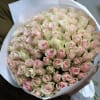 50 pink roses 

