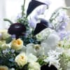 A darkly romantic composition of Sweet Pea, Black Ranunculus, Calla Lilies, Orchids