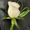 A beautiful large rose, with greens. 
Other Colors available: red, pink, hot