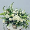 Color Palette: Neutral whites &amp; greens
Soothing whites and botanical greens in a