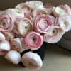 Arrangement mainly with Ranunculus.
I&#039;ve never met anybody who didn&#039;t fall in love