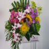 A luxurious plush design featuring bright Yellow Sunflowers, Phalenopsis orchids, Green Dendrobium