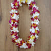 Beautiful Variegated sunset and white Dendrobium Orchids for graduation. Ask us to