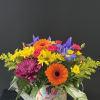 Adorable and usable watering can filled with vibrant colored flowers!  A