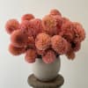 Calling all dahlia lovers!  This seasonal summer arrangement can come in