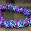&quot;Order a beautiful Double Orchid Lei for Graduation Season!

Available in: White &amp;