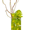Submerging orchids in water is a clear and beautiful way to display