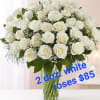 2 dozens white roses