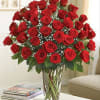 Say &#039;I love you&quot; in a very big way! 4 dozen red