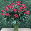 This is Hirni&#039;s Classic Three Dozen Red Roses with greens and filler