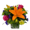 A glowing display of nature&#039;s brightest hues. Featuring a striking lily as