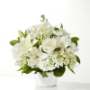Peaceful Reflections Arrangement
This graceful and soothing floral creation is a touching way