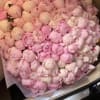 Beautiful and girly pink peonies