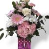 
Bursting with charm and unapologetic cheer, Pink Parade is a joyful celebration