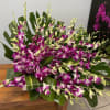 A Big Arrangement made up of almost entirely all Orchids.
[NOTE]: The Purple