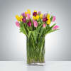 Send a selection of tulips to somebody you have unconditional love for!
