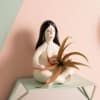Air plant included 
Material: Ceramic
Dimensions: 3.5&quot; x 5.5&quot;