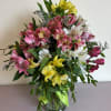 Beautiful arraignment of multiple color variations of Alstroemeria.