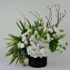 La Maison Blanche: Bold. Elegant. Unforgettable.
Elevate your space with La Maison Blanche&mdash;a