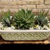 A Trio of Haworthia Plants in a Decorative Ceramic Container.
Polished Stone Accents