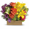 Send her a rainbow! Golden lilies, radiant roses and regal alstroemeria burst