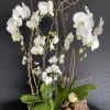 White ceramic stunning vessel filled with orchids and surrounded by wood elements