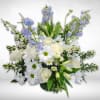 Mi H&eacute;roe &ndash; A Tribute to Strength and Love

Celebrate the unwavering strength
