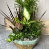 A harmonious blend of lush greenery and plants, these Dish Garden&#039;s bring