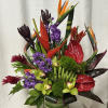 Experience the vibrant beauty of the tropics with our Hawaiian Luau tropical