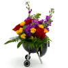 Includes Red Roses, Purple Stock, Yellow spray roses, and Mixed Greenery