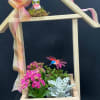 Wooden birdhouse with planter, blooming and green plants decorated with hummingbird and