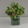 A swirl of crisp green cymbidium orchids in a grass wrapped cube.